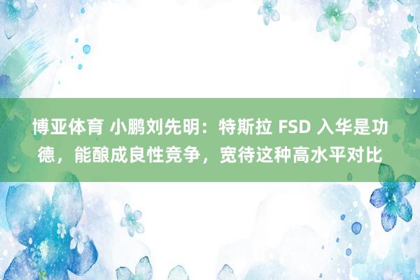 博亚体育 小鹏刘先明：特斯拉 FSD 入华是功德，能酿成良性竞争，宽待这种高水平对比