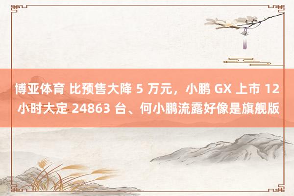 博亚体育 比预售大降 5 万元，小鹏 GX 上市 12 小时大定 24863 台、何小鹏流露好像是旗舰版