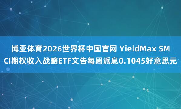 博亚体育2026世界杯中国官网 YieldMax SMCI期权收入战略ETF文告每周派息0.1045好意思元