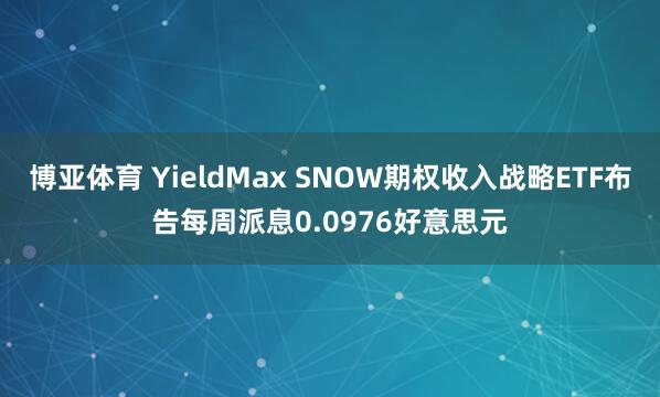 博亚体育 YieldMax SNOW期权收入战略ETF布告每周派息0.0976好意思元