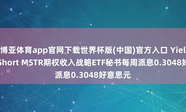 博亚体育app官网下载世界杯版(中国)官方入口 YieldMax Short MSTR期权收入战略ETF秘书每周派息0.3048好意思元