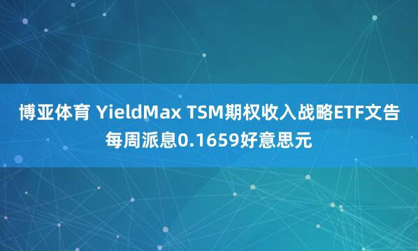 博亚体育 YieldMax TSM期权收入战略ETF文告每周派息0.1659好意思元