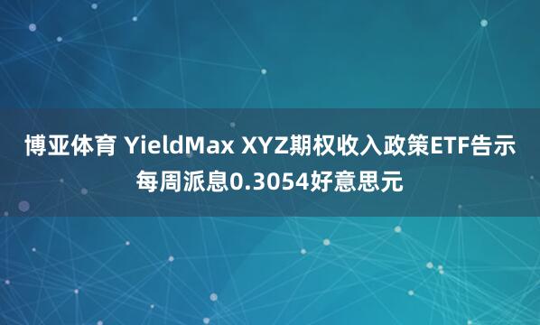 博亚体育 YieldMax XYZ期权收入政策ETF告示每周派息0.3054好意思元