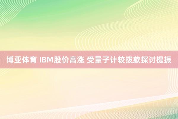 博亚体育 IBM股价高涨 受量子计较拨款探讨提振