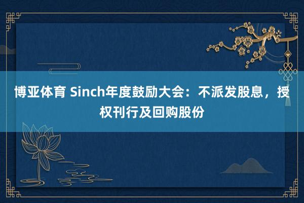 博亚体育 Sinch年度鼓励大会：不派发股息，授权刊行及回购股份