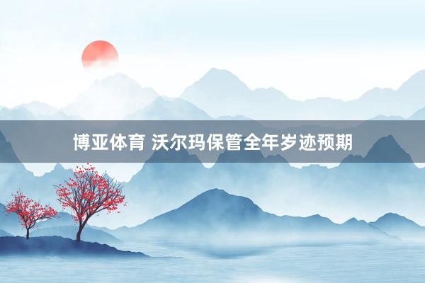 博亚体育 沃尔玛保管全年岁迹预期