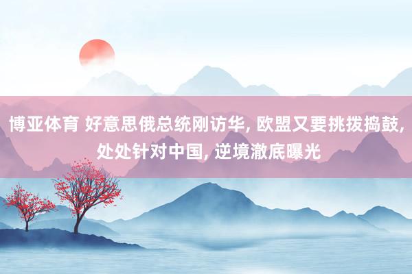 博亚体育 好意思俄总统刚访华， 欧盟又要挑拨捣鼓， 处处针对中国， 逆境澈底曝光