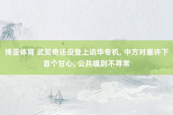 博亚体育 武契奇还没登上访华专机， 中方对塞许下首个甘心， 公共嗅到不寻常