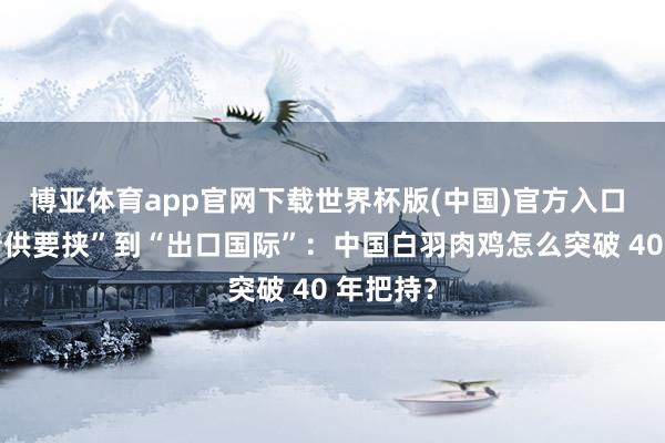 博亚体育app官网下载世界杯版(中国)官方入口 从“被断供要挟”到“出口国际”：中国白羽肉鸡怎么突破 40 年把持？