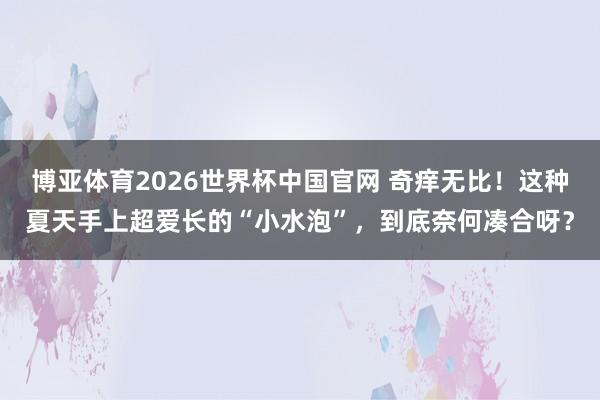 博亚体育2026世界杯中国官网 奇痒无比！这种夏天手上超爱长的“小水泡”，到底奈何凑合呀？