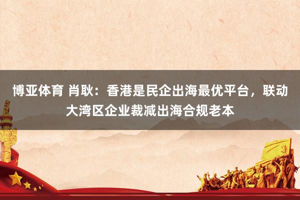 博亚体育 肖耿：香港是民企出海最优平台，联动大湾区企业裁减出海合规老本