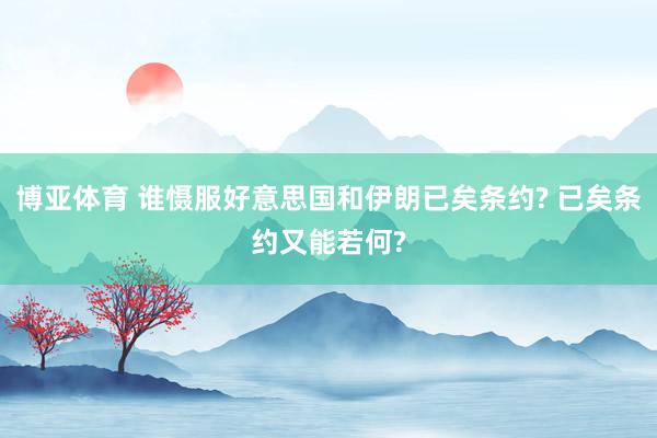 博亚体育 谁慑服好意思国和伊朗已矣条约? 已矣条约又能若何?