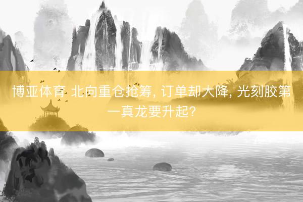 博亚体育 北向重仓抢筹， 订单却大降， 光刻胶第一真龙要升起?